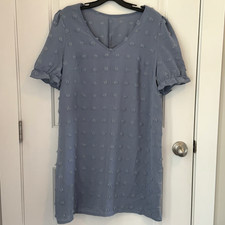 Shein Curve Women’s Plus 12/14 (0XL) Baby Blue Short Sleeve Shift Dress