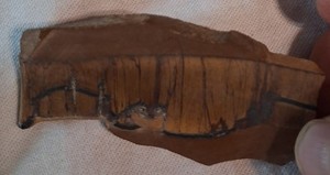 Tigers Eye Sliced Rough Raw Rock