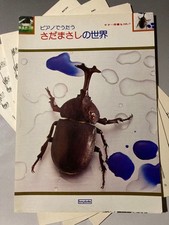 Masashi Sada Cut World Piano Vocal Sheet Music Used dd4