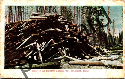 1907 Logs for the Humbird Lumber Co, Sandpoint, ID, John Gradam postcard jj215