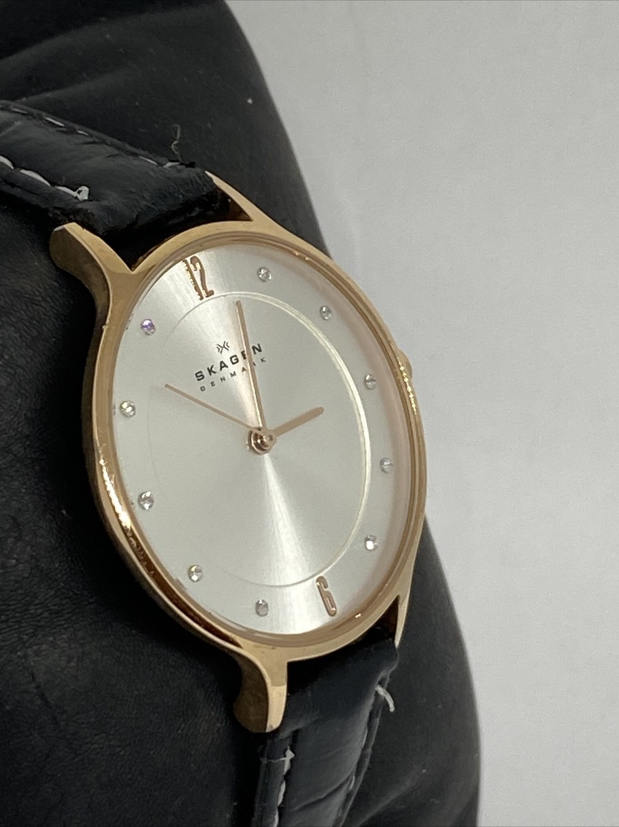 Skagen Anita SKW2151 Women\'s Black Leather Analog Dial Quartz Wrist Watch JK591 Skagen Anita SKW2151 Women main image 4