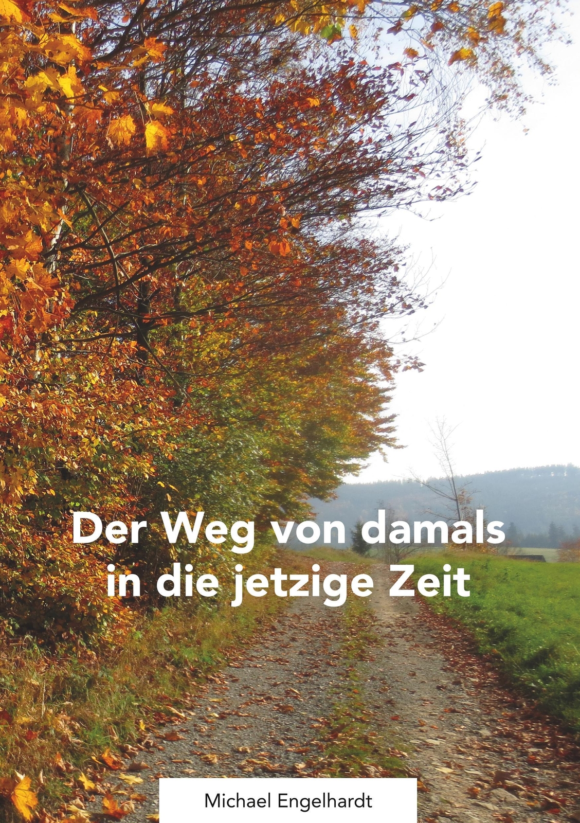 Der Weg Von Damals In Die Jetztige Zeit | Buch | 9783746048994