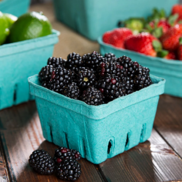 1 Pint 500 Berry Basket Pulp Fruit Vegetable Garden Market Produce ...