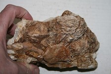 seltenes Kabinettstück Baryt xx , Silbereck , Wiesental , Schwarzwald Mineralien