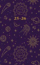 2025-2026: at a Glance 2-Year Pocket Planner Professional Organizer L 24 Months