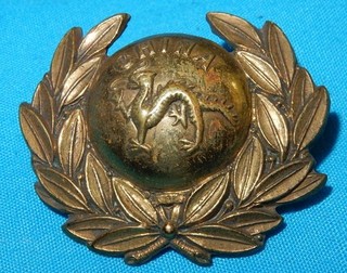 1885 1895 VICTORIAN THE BORDER REGIMENT GILT BRASS BRITISH MILITARY COLLAR BADGE