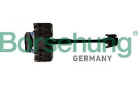 TüRfeststeller Borsehung B12367 FüR Audi A4 B8 8K2 Avant 8K5 Allroad 8KH Tfsi