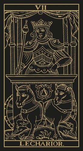 MARSEILLE TAROT CARDS DECK GOLD & BLACK EDITION LO SCARABEO MARIANNE COSTA NEW - 第 15/16 張圖片