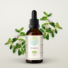 HerbEra Brahmi Alcohol-FREE Herbal Extract Tincture Organic Bacopa Monnieri 