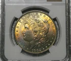 1882 $1 MORGAN SILVER DOLLAR NGC MS 63-COLORFUL OBVERSE TONING-!!!!!!!!!!!!!!!!!