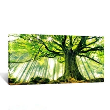 KREATIVE ARTS Canvas Large Art Print Spring Forest Nature Green Big Tree Wall...
