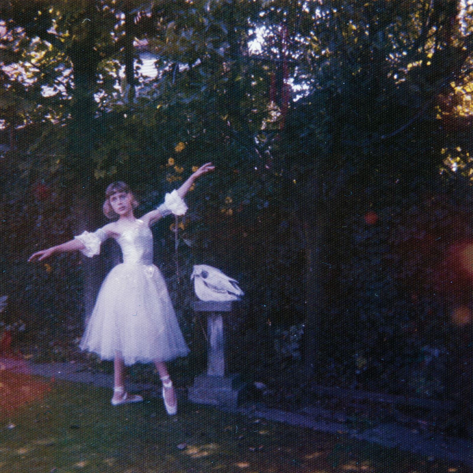 WOLF ALICE - Visions Of A Life - Vinyl (gatefold 180 gram vinyl 2xLP) - Image 8
