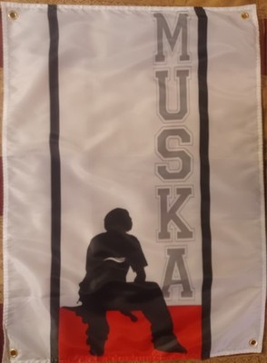 Shortys Skateboards Chad Muska Banner ES Shoe Rodney Mullen Powell Tony Hawk DGK