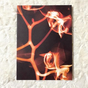 I Burn Gidle | eBay