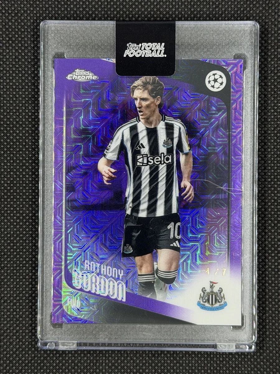 Premier League Soccer Sunderland Sports Trading Cards
