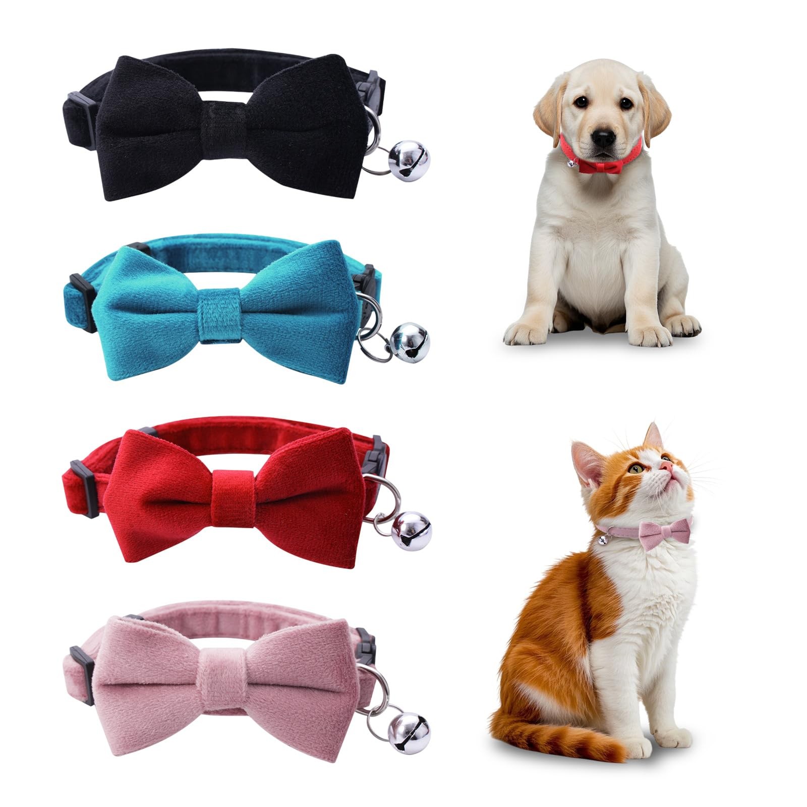 Collier de chat en velours doux pour le bien-être de votre félin