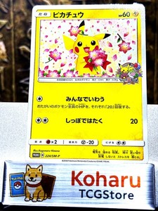 Pikachu 224 Sm P | eBay
