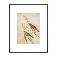 8x10 Matte Black Modern Thin Aluminum Metal Photo Frame with HD Glass