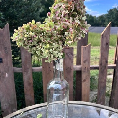 Real Preserved Hydrangea Stems 2 Count Sage Green Dusty Rose Pink Home Decor