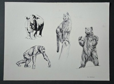 Vintage Original Student Sketch Study Drawing Marker Pencil Graphite