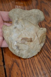 Polished Mississippian Mill Creek Notched Hoe Adair Co Missouri 5 x 4.25