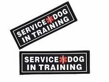 SERVICE DOG IN TRAINING 3D Rubber PVC Patch Label Tag For Harness Collar Vest