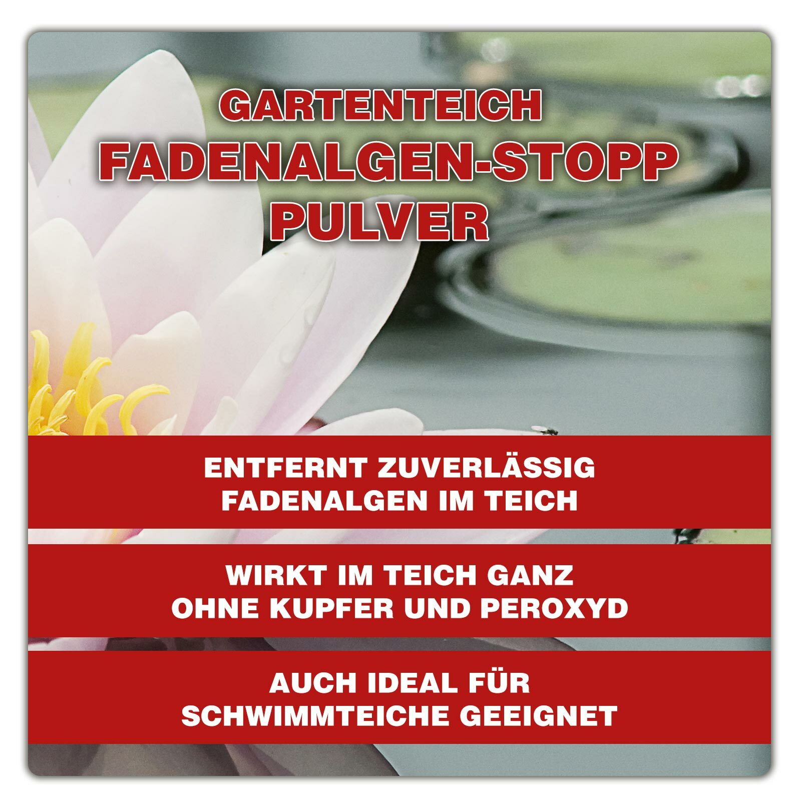 Fadenalgen Algenvernichter Gartenteich Fadenalgenvernichter Pulver 1 KG