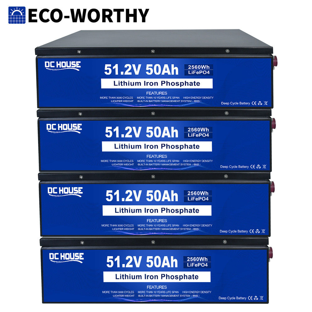 ECOWORTHY 48V 50Ah 100Ah 200Ah LiFePO4 Lithium Battery Metal Case BMS Golf Cart copresc