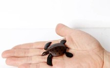 Sea Turtle Animal Toy PVC Action Figure Kids Toys Party Gifts