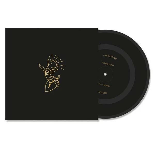 David Gray - Gold In A Brass Age Deluxe Box Set * 7 x 7" Vinyl Singles ULTRA RAR - Bild 3 von 4