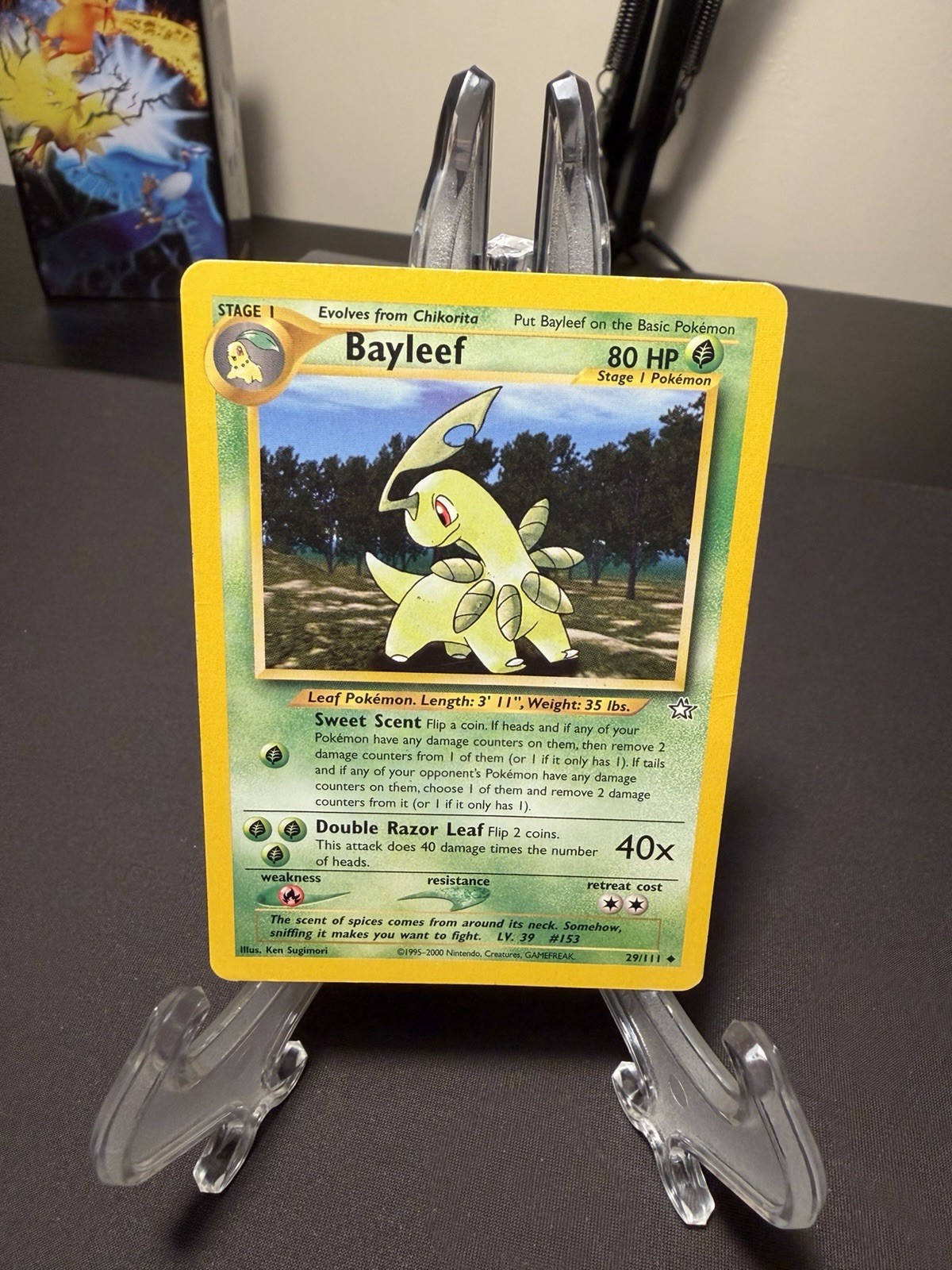 Pokemon TCG Bayleef 29/111 Neo Genesis Regular HP