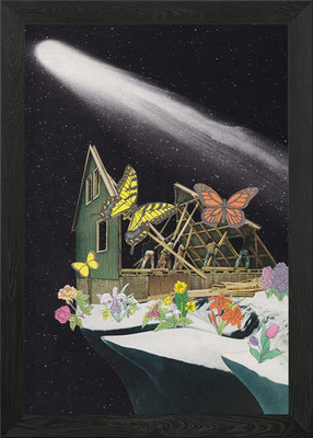 New Home on Mars [collage] Framed Wall Art Poster Canvas Print Picture