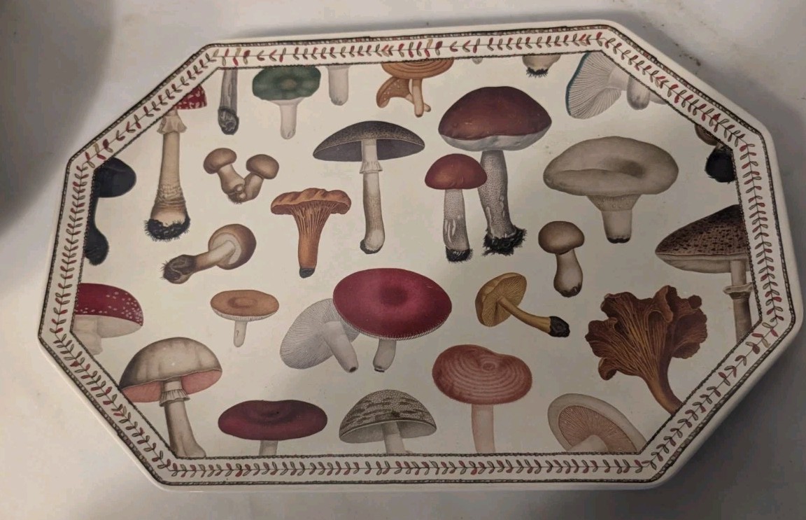 JOHN DERIAN For Target Octangular  Mushroom Melamine Serving Tray 15 X 10