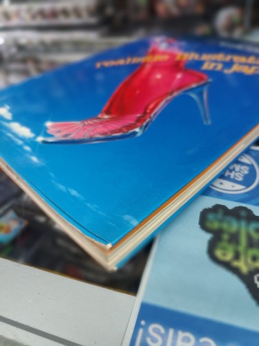 Realistische Illustrationen in Japan (japanische Ausgabe) Graphic-Sha 4766103076 - Bild 15 von 19