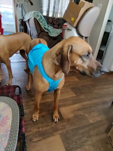 AKC/ASFA/LCI LG Lure Coursing Blankets/Spandex/Ridgeback,Afghan,Saluki