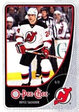 2010-11 O-Pee-Chee #319 Bryce Salvador