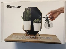 Ebristar Glass Plant Mister Spray Bottle  Vintage Plant Spritzer 6.5 In Tall