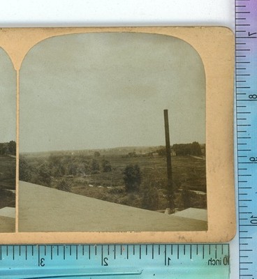 Farmland in Florida FL by Ross W. Eddy Kalamazoo MI Stereoview c1900