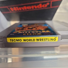 Tecmo World Wrestling - Loose - Good - NES