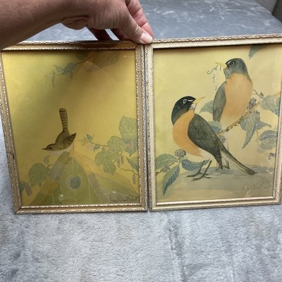 2 Vintage Fern Bisel Bird Prints Illustrations Framed Blue Jay Swallow Pastels