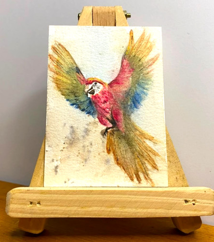 ACEO Original Watercolor Painting Red Macaw Parrot Flying Bird OOAK Miniature