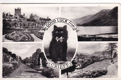 Valentinstag Postkarte RPPC ''Viel Glück aus Grieff'' Mehransicht Perth unbesendet