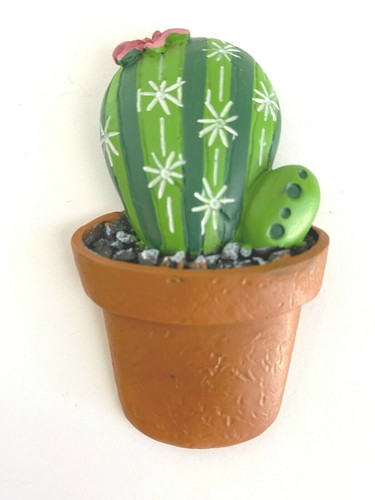 Calamita frigorifero Ganz Cactus scegli 1 di 6 diversi disegni - Foto 15 di 30