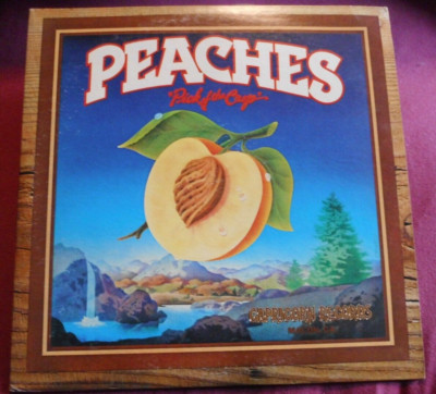 Various (3278) Peaches 1974 2 LP´s Capricorn Records PRO 588 US-Pressung