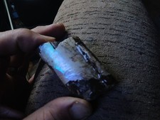 Ammolite Baculite Ammonite Fossil Iridescent, Opalized