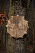 23  Handcrafted Shaman Drum   Goat Hide   Shamanic Drum- Shamanic Tool