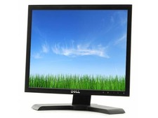 Monitor Display PC Dell P170s 17 pollici