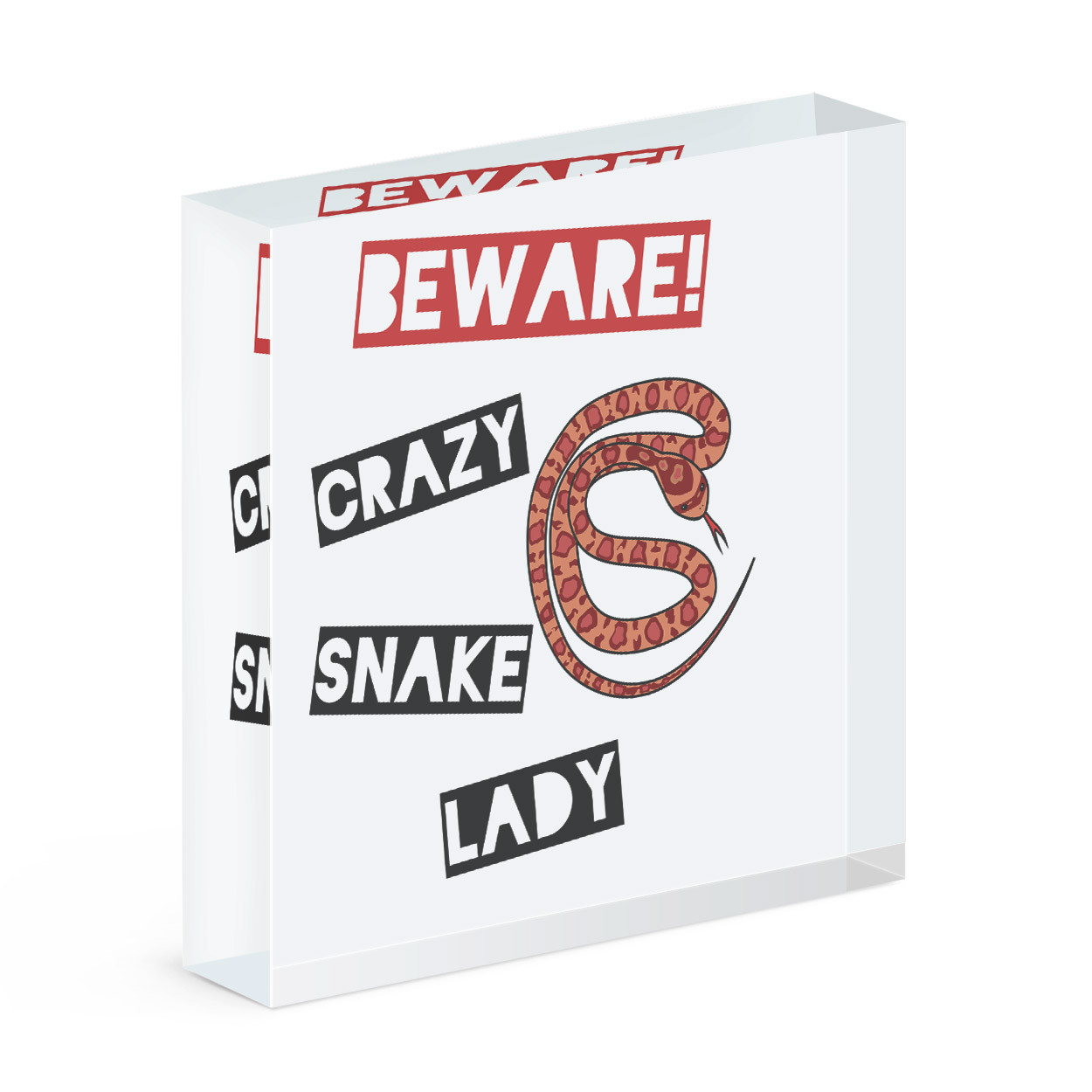 Beware Crazy Snake Lady Acrylic Photo Block Frame Funny