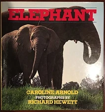 Elephant, Arnold, Caroline