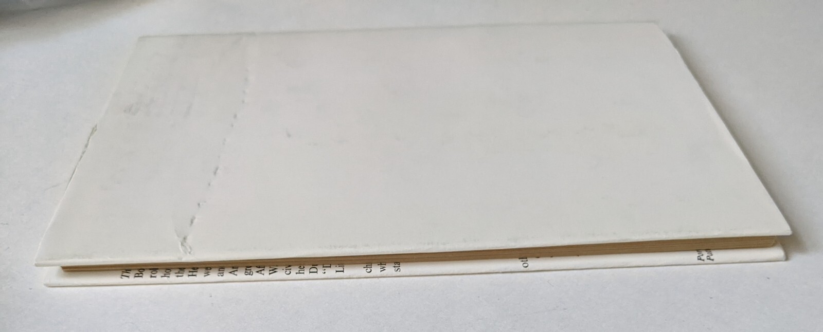 Picture 5 of 12